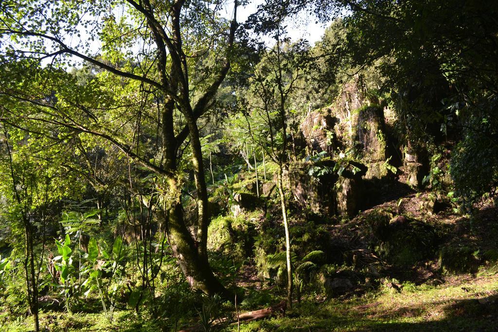 Eco Hotel La Jicarita Coatepec  Kültér fotó