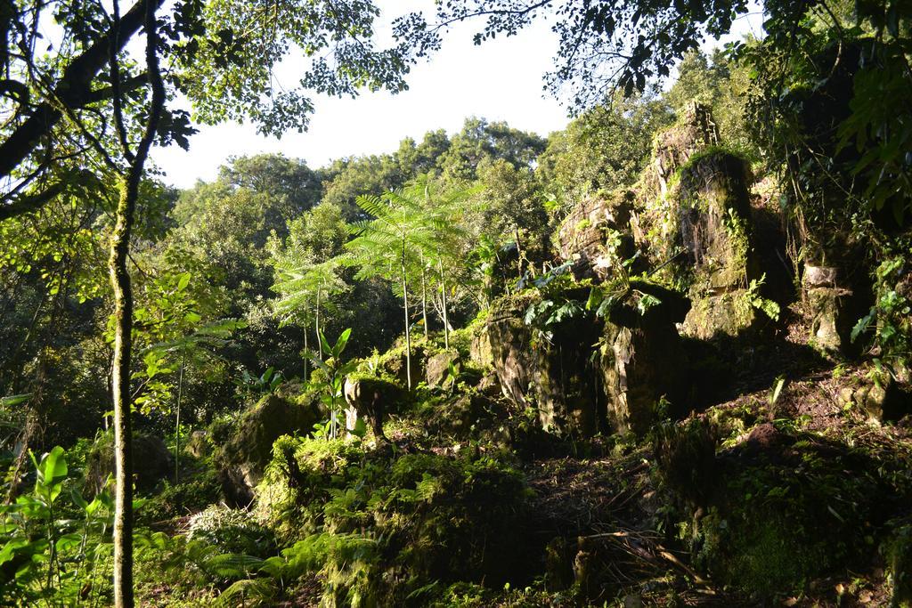 Eco Hotel La Jicarita Coatepec  Kültér fotó