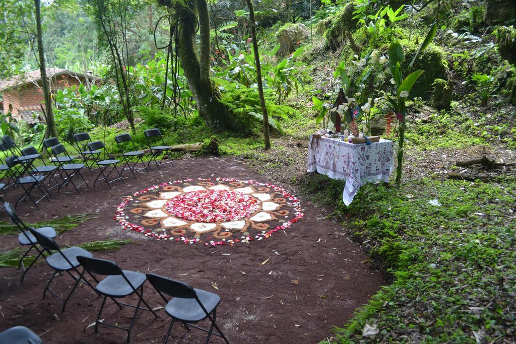 Eco Hotel La Jicarita Coatepec  Kültér fotó