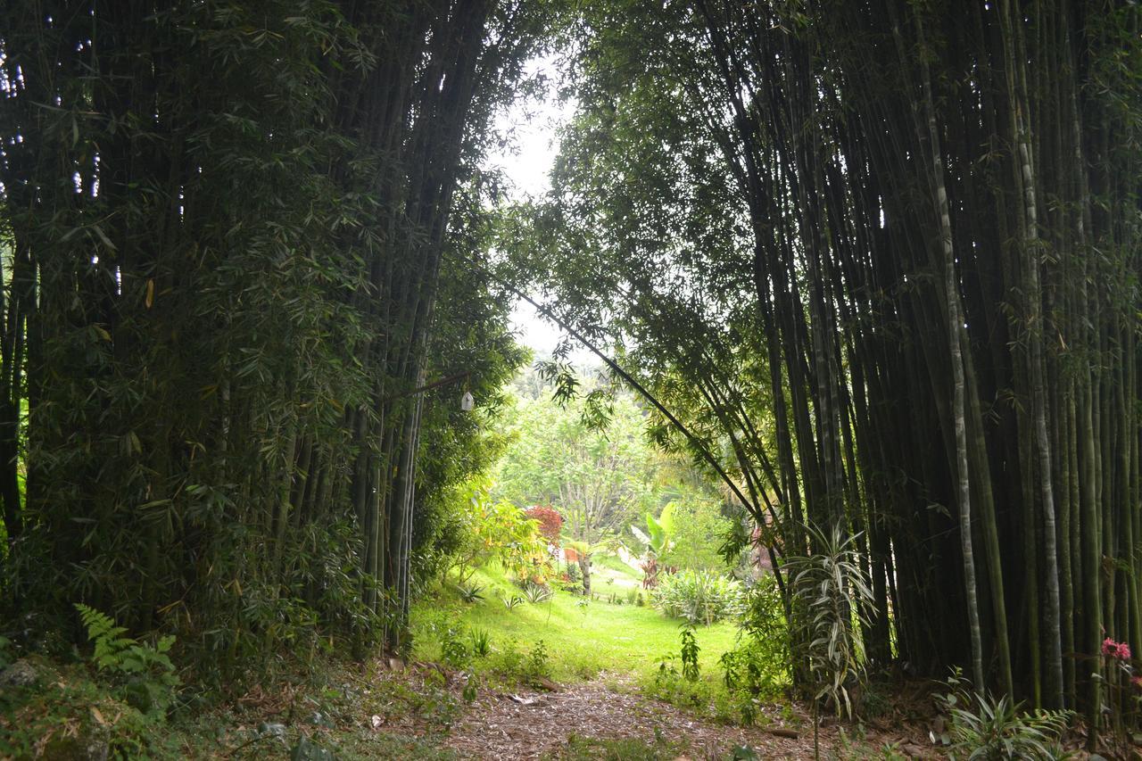 Eco Hotel La Jicarita Coatepec  Kültér fotó