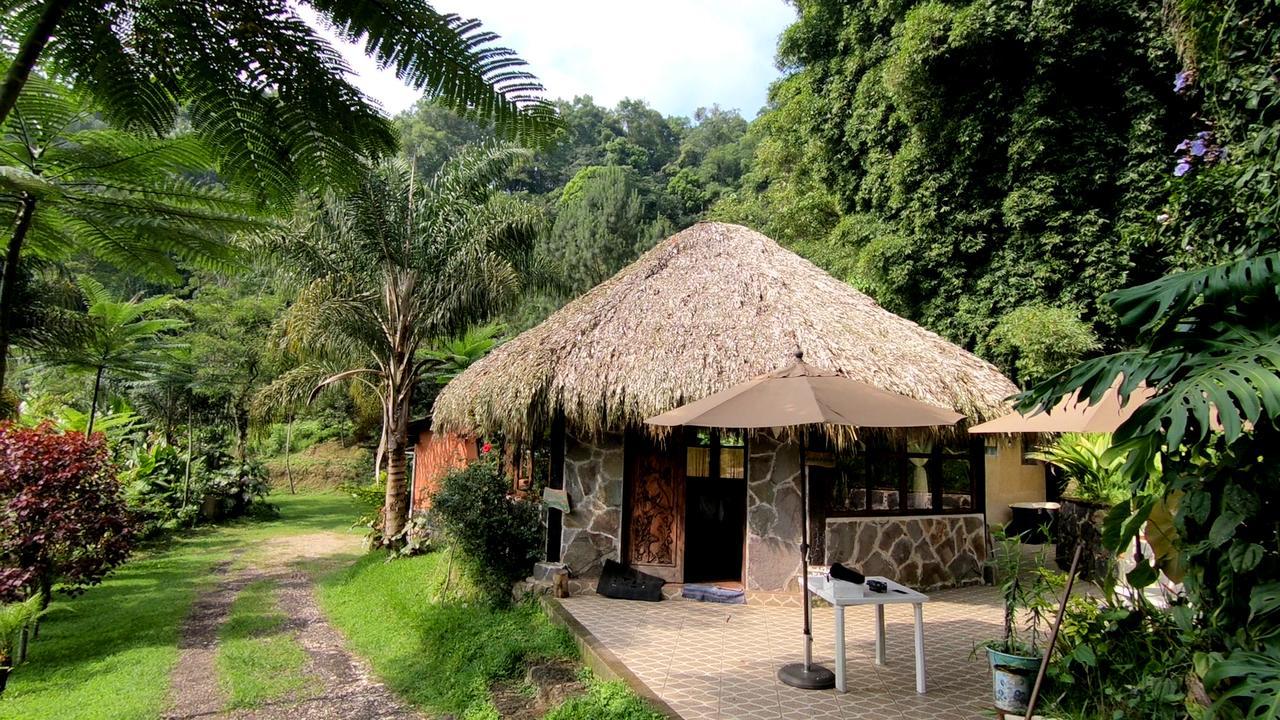 Eco Hotel La Jicarita Coatepec  Kültér fotó