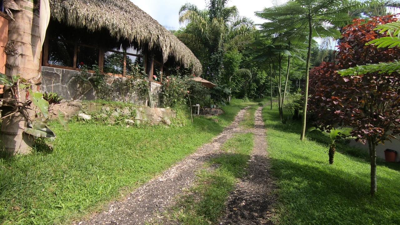 Eco Hotel La Jicarita Coatepec  Kültér fotó