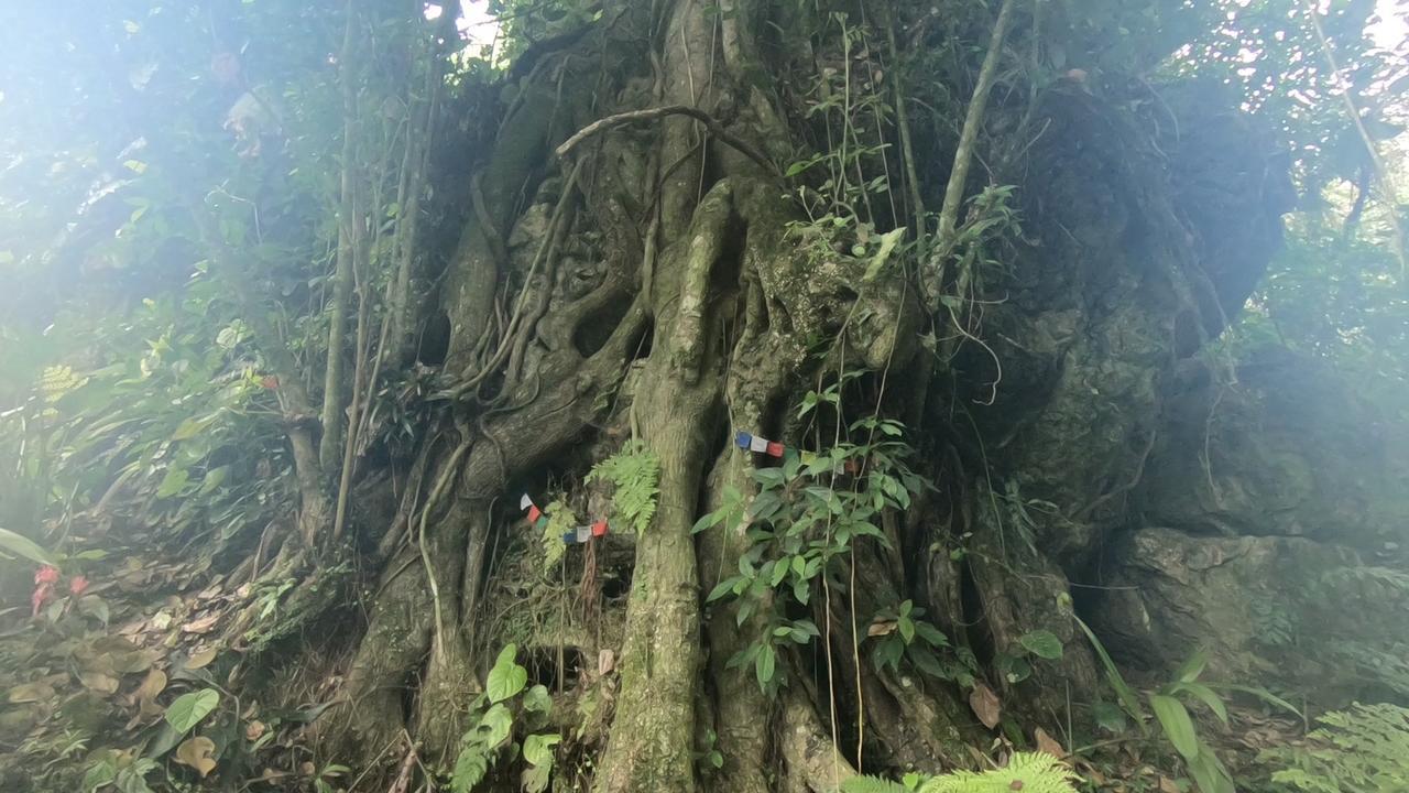 Eco Hotel La Jicarita Coatepec  Kültér fotó